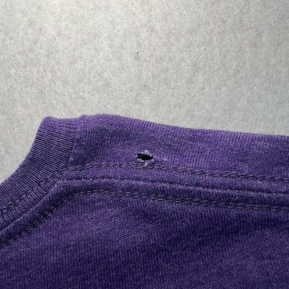 Carhartt Kids Long Sleeve Shirt Girls Toddler Size 4T Horse Purple - Picture 14 of 14